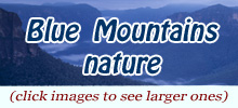 BM nature home