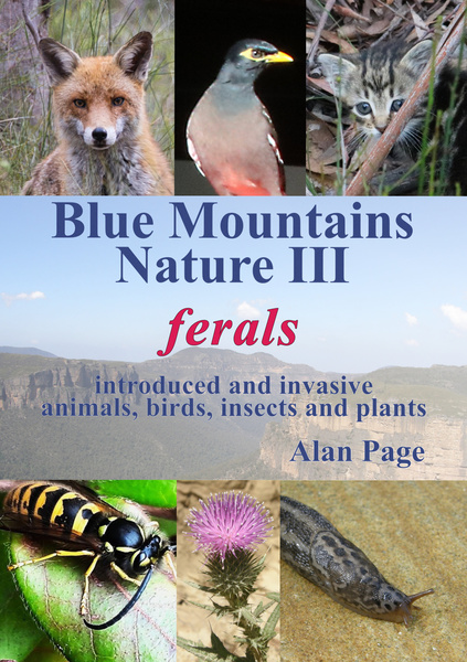Blue Mountains Nature III - ferals cover