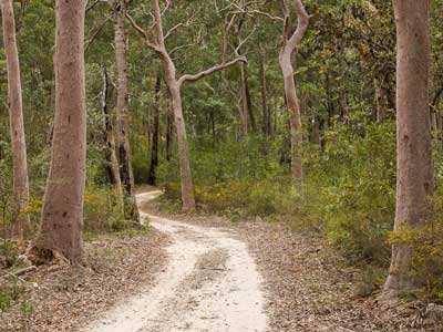 Wollemi National Park