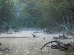 Capertee River