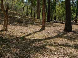 Moorara
