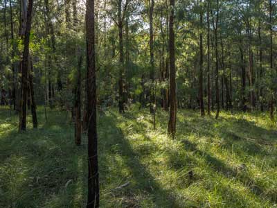 BMCC Reserves 33