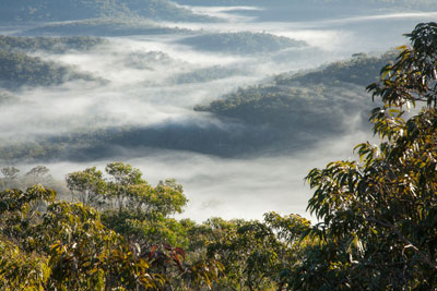 Yengo Wilderness