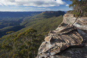 Narrow Neck