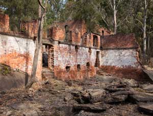 Newnes