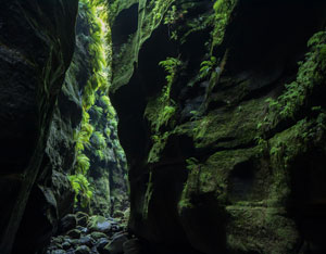 A slot canyon