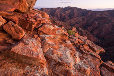 Gammon Ranges, South Australia.