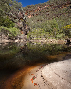 Wollemi Creek