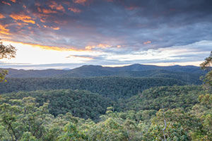 Yengo Wilderness 4