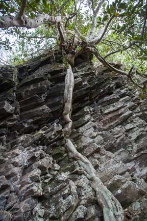 Permian coal seams