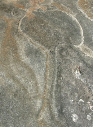 emu rock Engraving