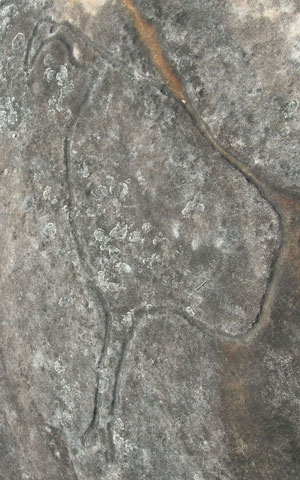 emu rock Engraving