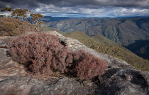 Distant Mt Colong