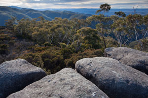 North from Colboyd Range to Mt Cloudmaker and lower Kowmung country