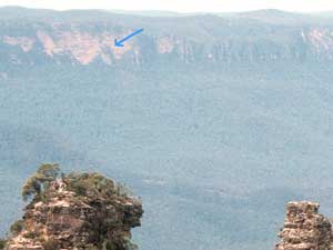 emu on the escarpment