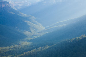 Govett Gorge, summer afternoon