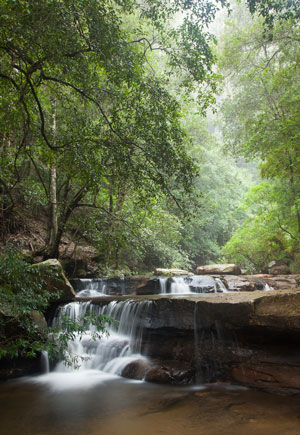 Victoria Falls Creek
