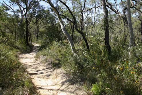 Glenbrook
