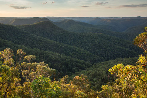 Wollemi Wilderness
