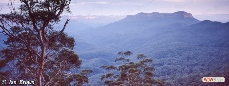 5. Mt. Solitary dusk
