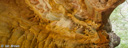 6. Sandstone overhang